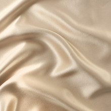 Luxe Mulberry Silk Standard Pillowcases (Set of 2)